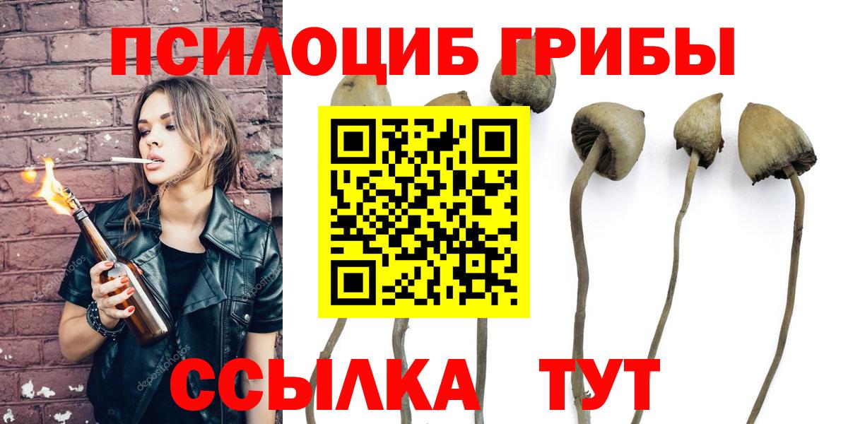 Псилоцибиновые грибы GOLDEN TEACHER  Псилоцибиновые грибы мицелий  Вход с VPN  Гусь-Хрустальный 